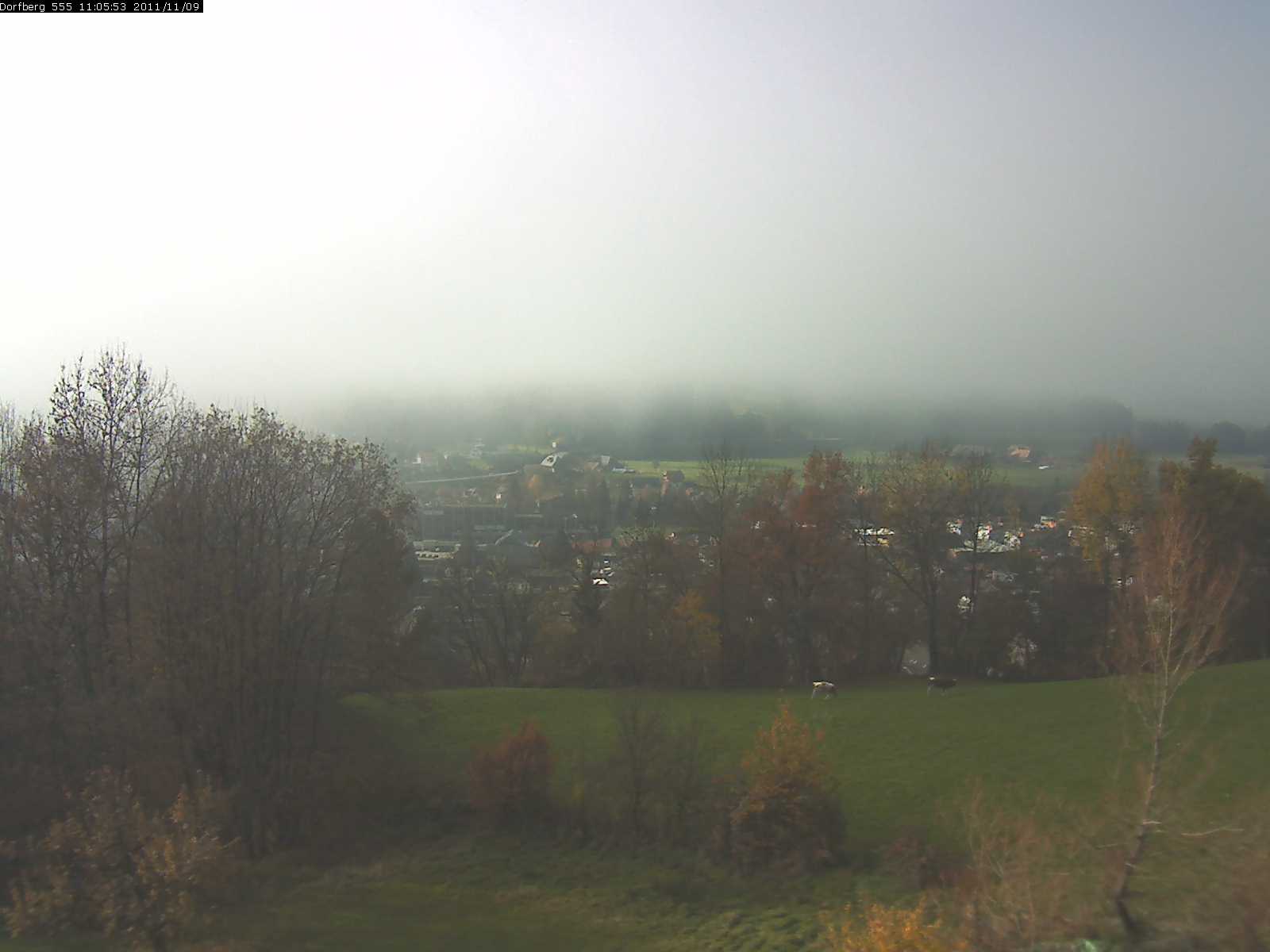 Webcam-Bild: Aussicht vom Dorfberg in Langnau 20111109-110600