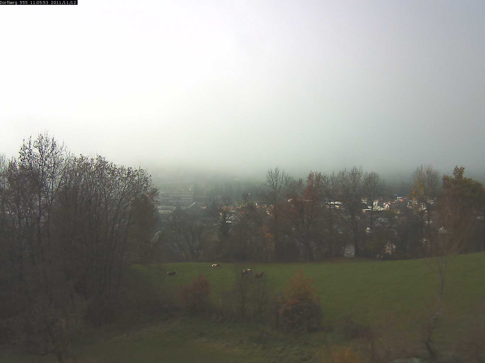 Webcam-Bild: Aussicht vom Dorfberg in Langnau 20111112-110600