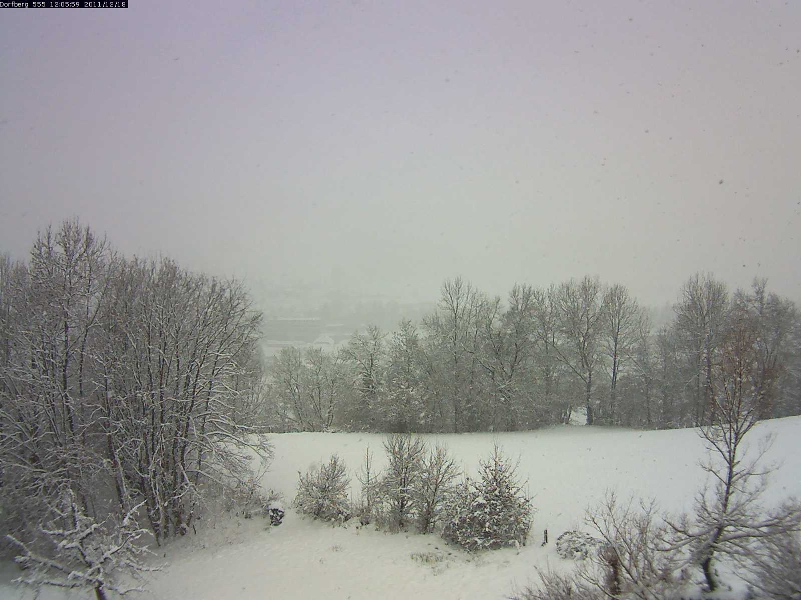 Webcam-Bild: Aussicht vom Dorfberg in Langnau 20111218-120600