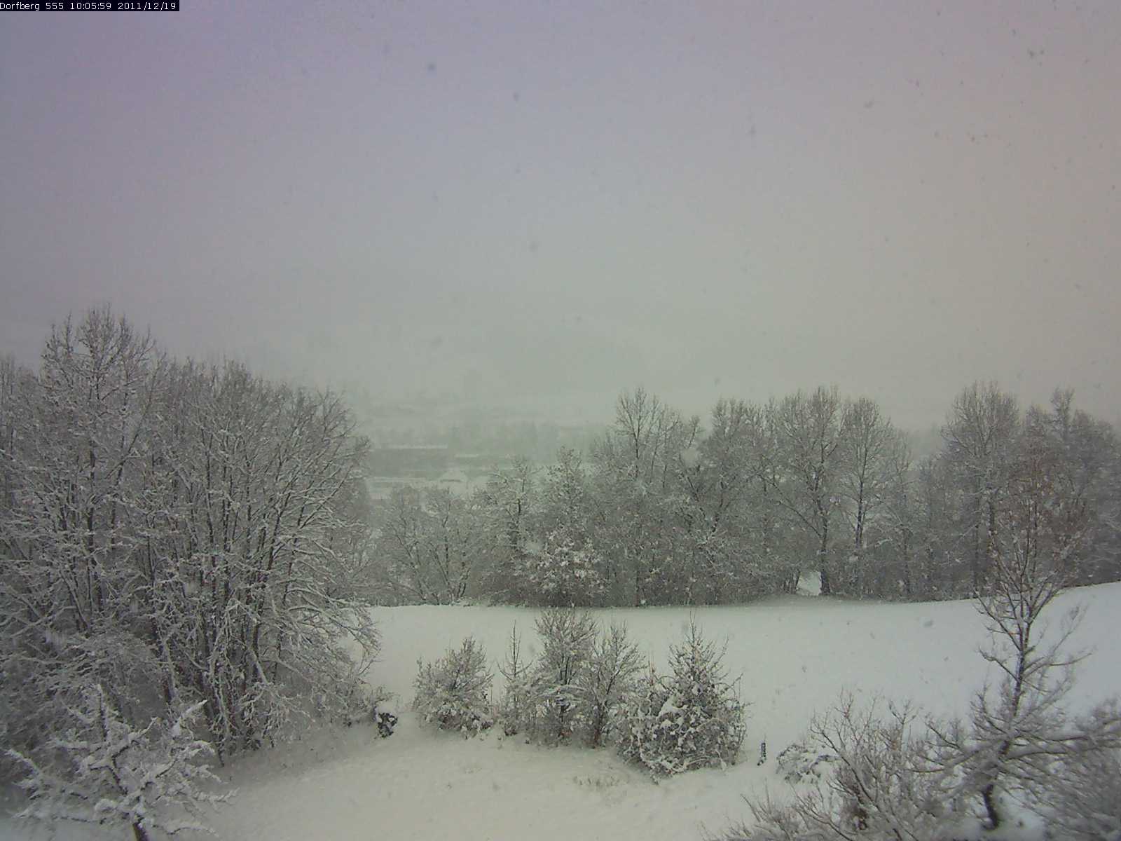 Webcam-Bild: Aussicht vom Dorfberg in Langnau 20111219-100600