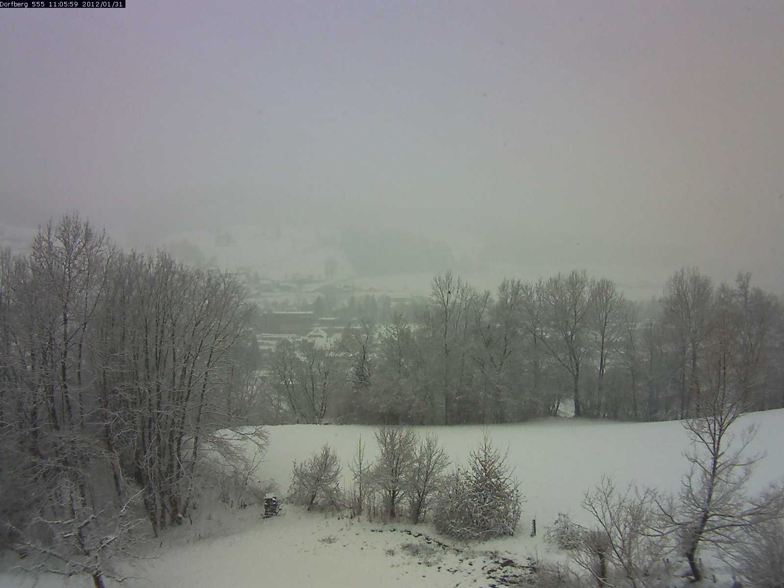 Webcam-Bild: Aussicht vom Dorfberg in Langnau 20120131-110600