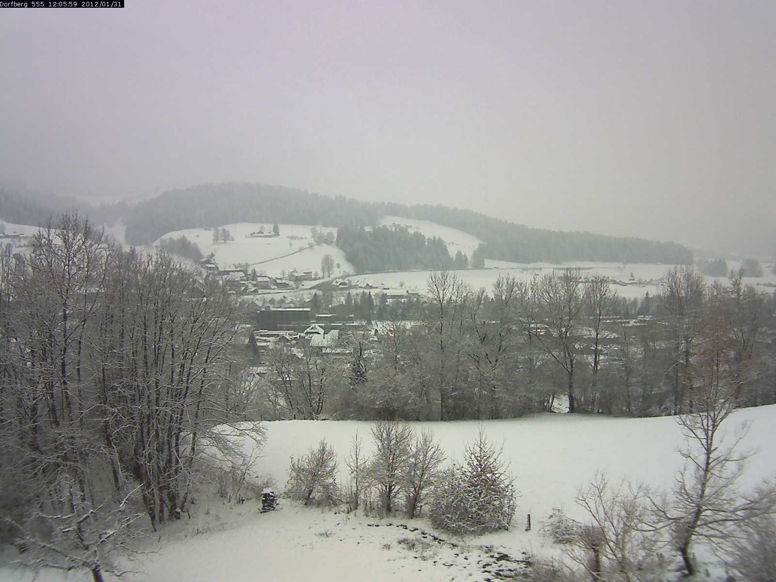 Webcam-Bild: Aussicht vom Dorfberg in Langnau 20120131-120600