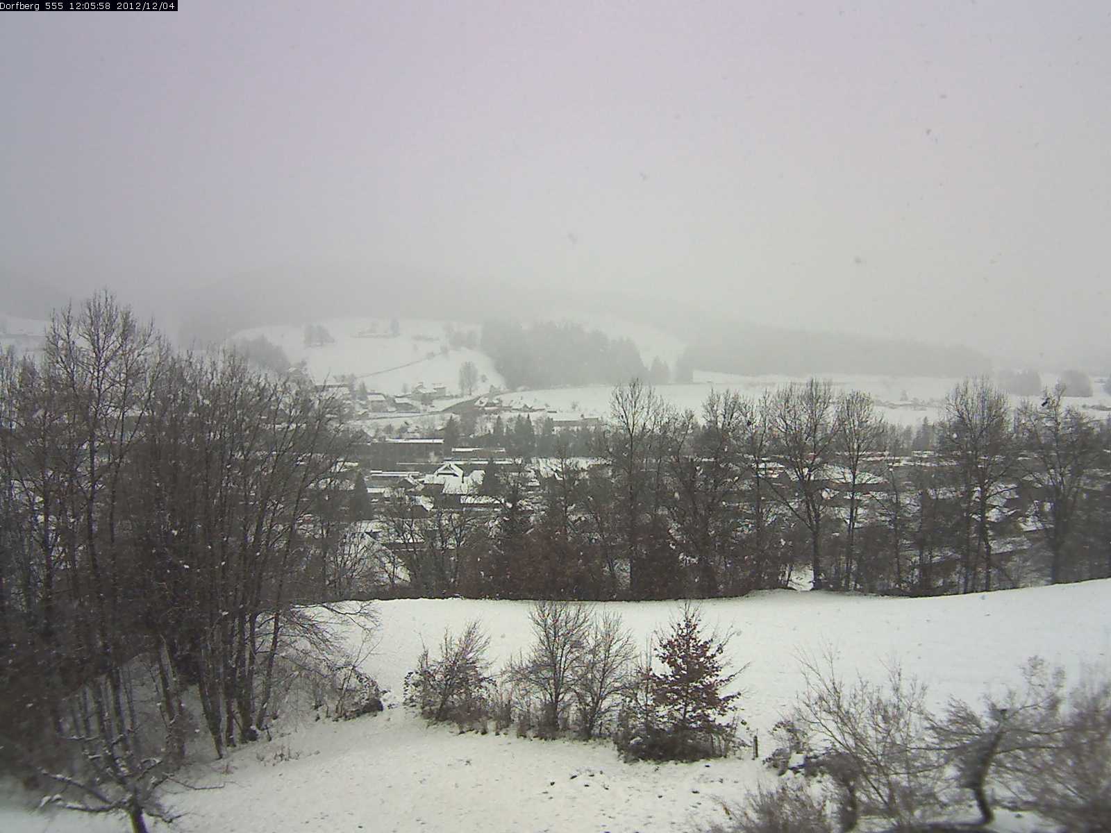 Webcam-Bild: Aussicht vom Dorfberg in Langnau 20121204-120600