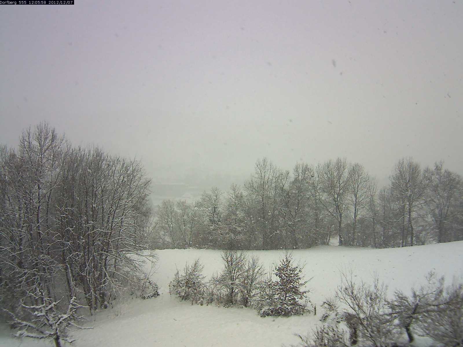 Webcam-Bild: Aussicht vom Dorfberg in Langnau 20121207-120600