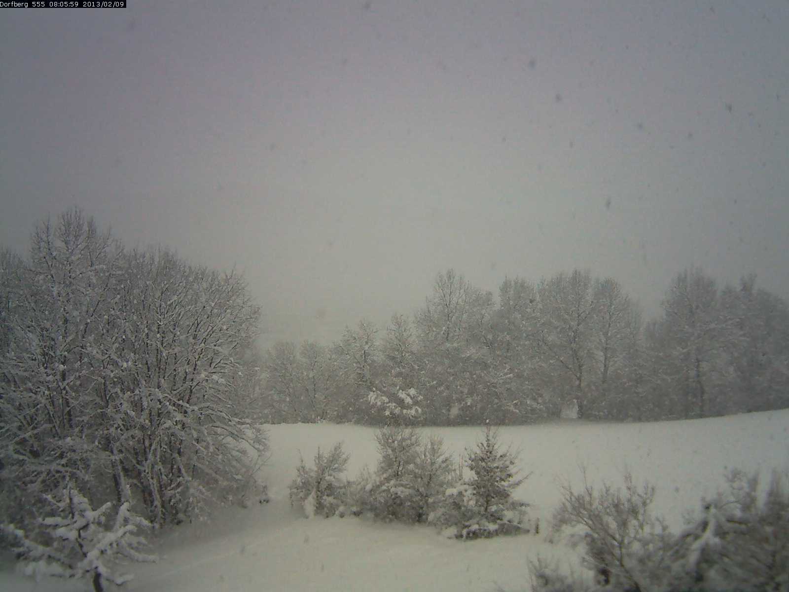 Webcam-Bild: Aussicht vom Dorfberg in Langnau 20130209-080600