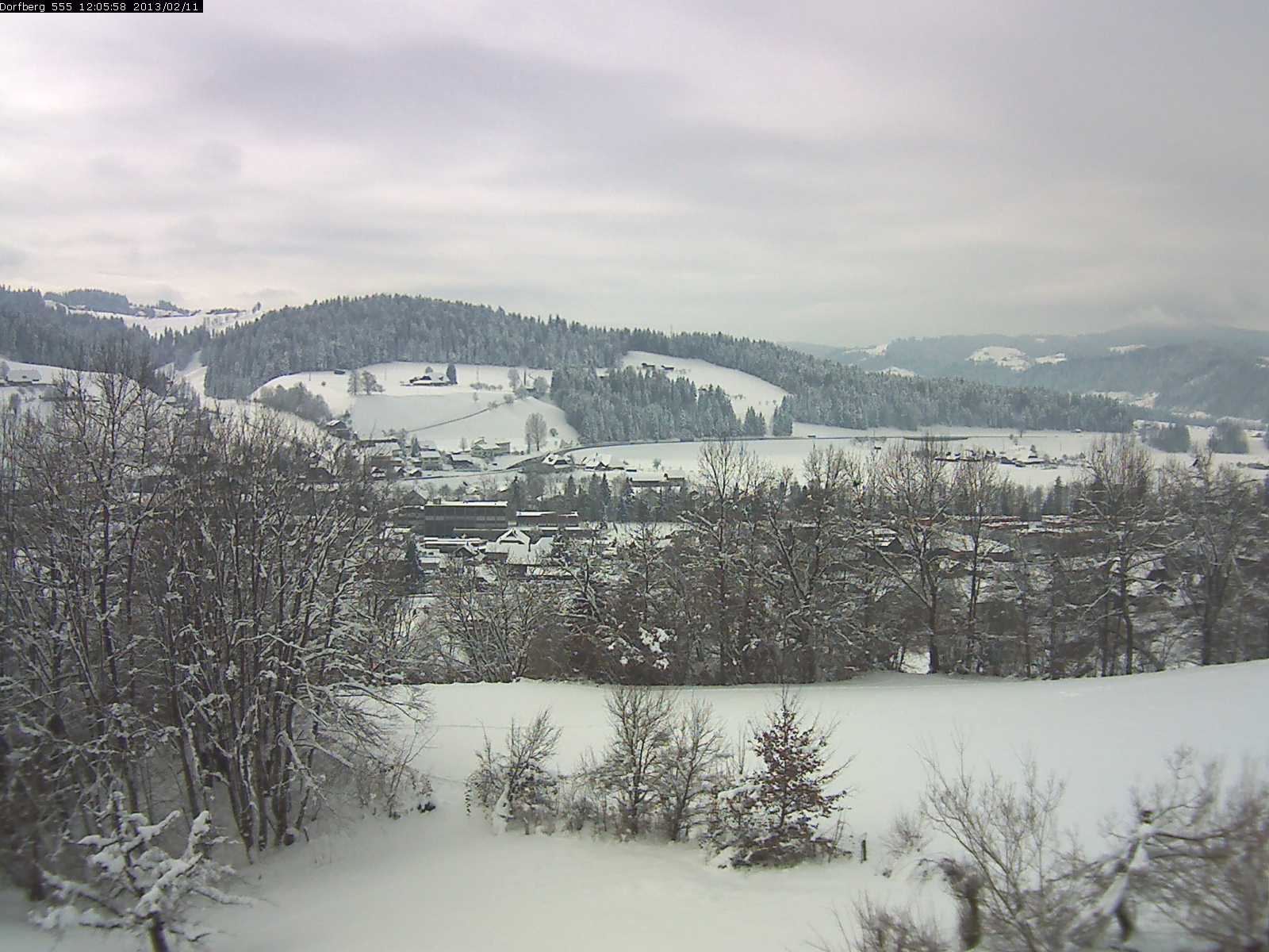 Webcam-Bild: Aussicht vom Dorfberg in Langnau 20130211-120600