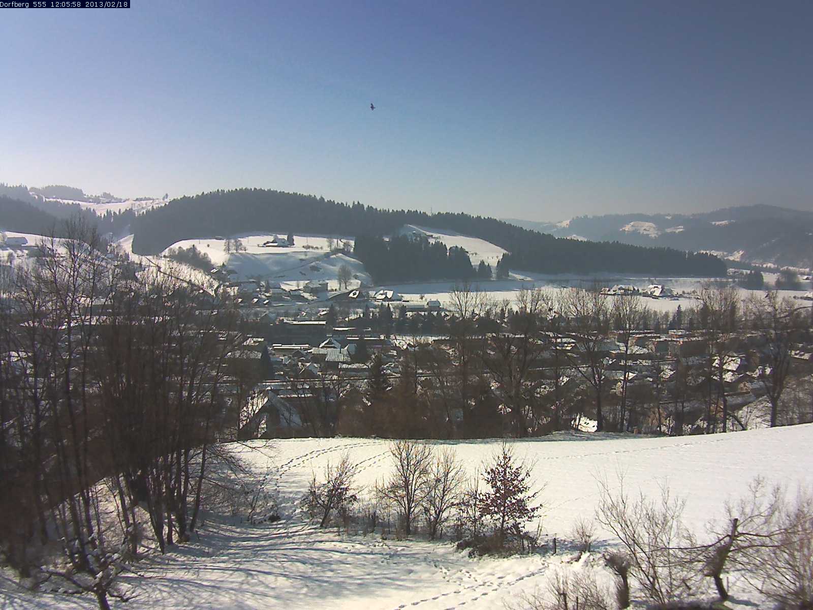 Webcam-Bild: Aussicht vom Dorfberg in Langnau 20130218-120600