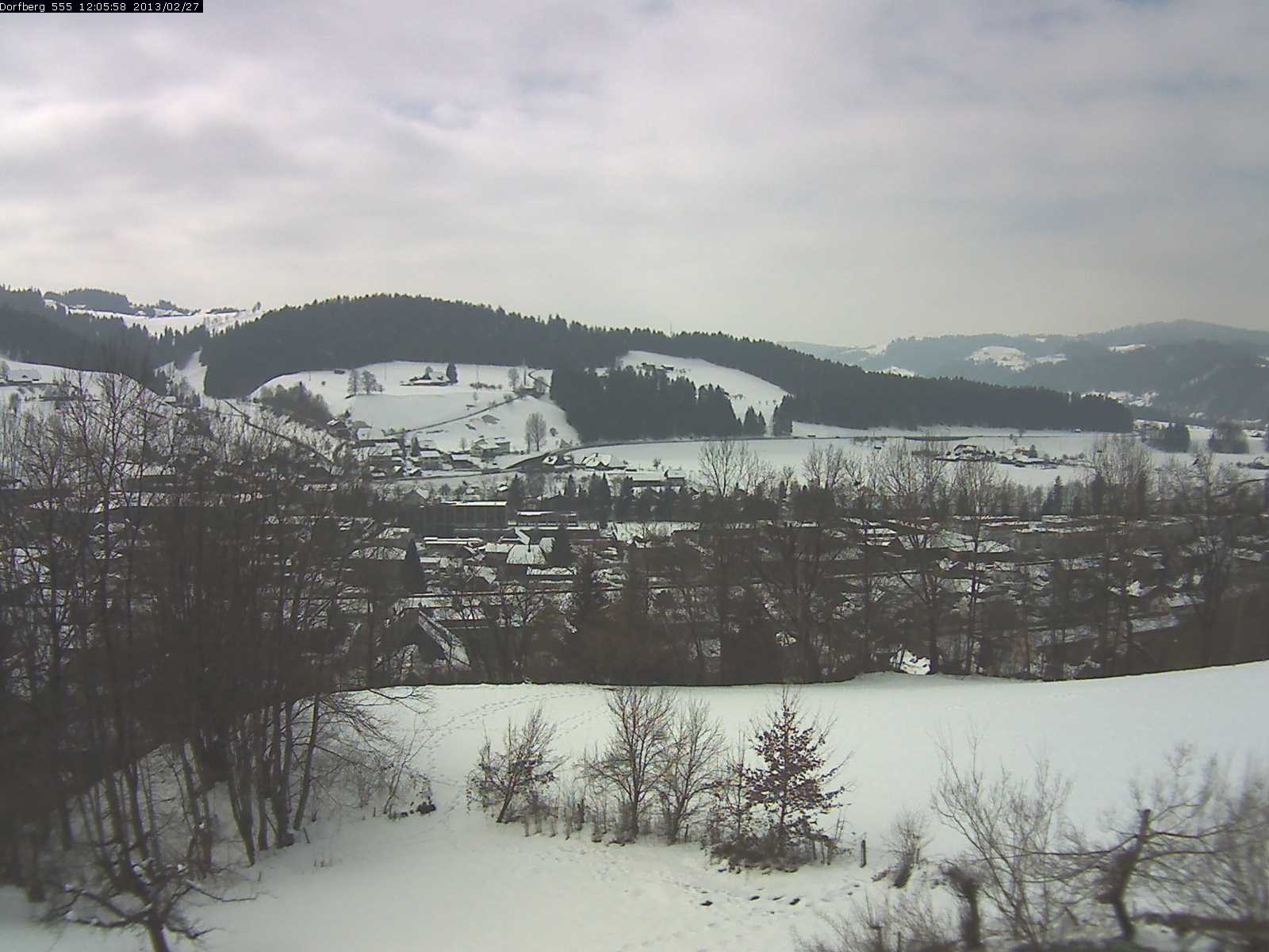Webcam-Bild: Aussicht vom Dorfberg in Langnau 20130227-120600