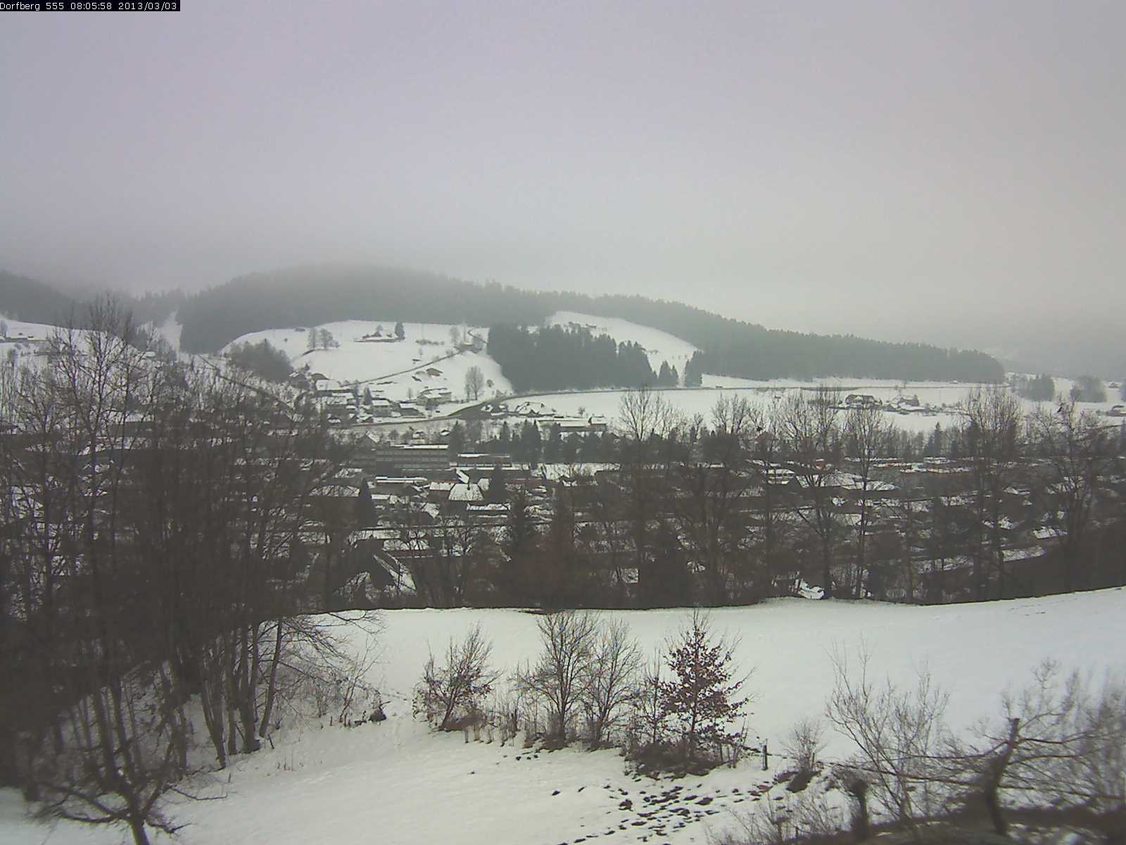 Webcam-Bild: Aussicht vom Dorfberg in Langnau 20130303-080600