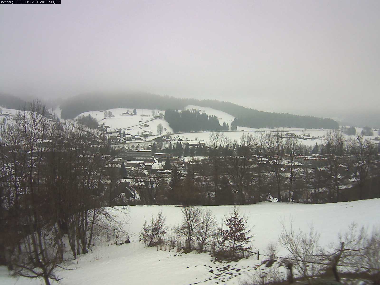 Webcam-Bild: Aussicht vom Dorfberg in Langnau 20130303-090600
