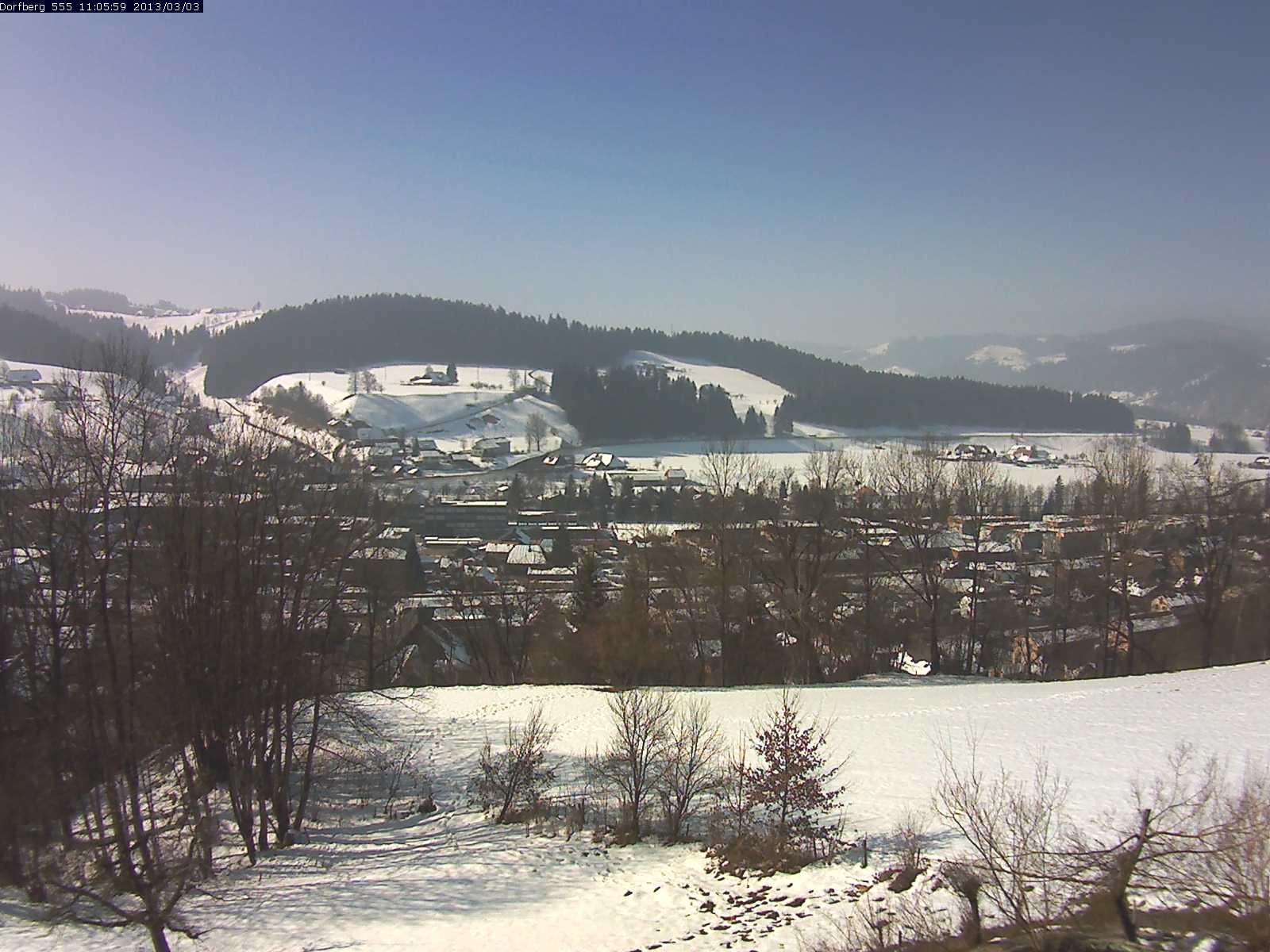 Webcam-Bild: Aussicht vom Dorfberg in Langnau 20130303-110600