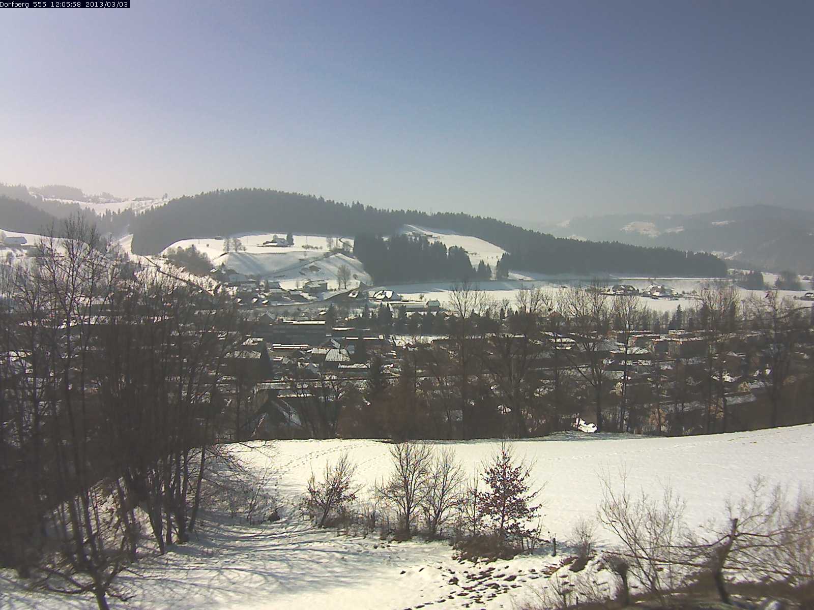 Webcam-Bild: Aussicht vom Dorfberg in Langnau 20130303-120600
