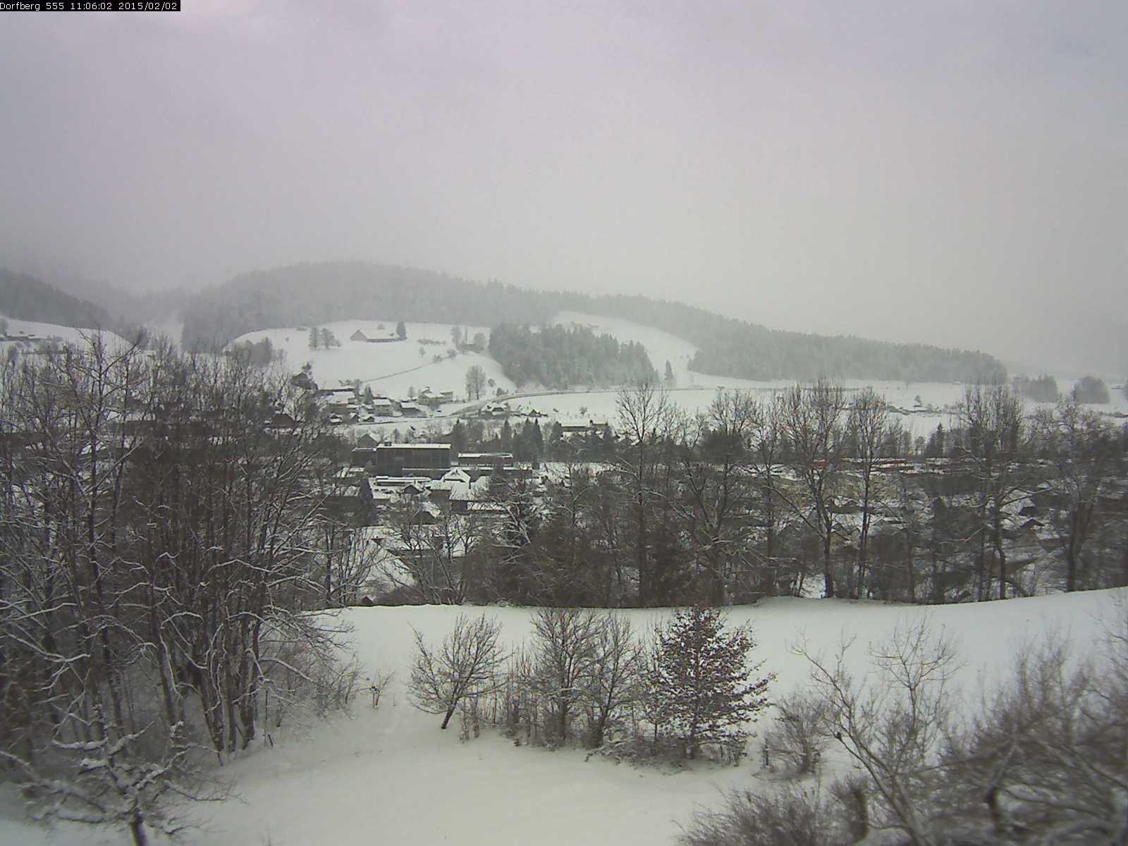 Webcam-Bild: Aussicht vom Dorfberg in Langnau 20150202-110601