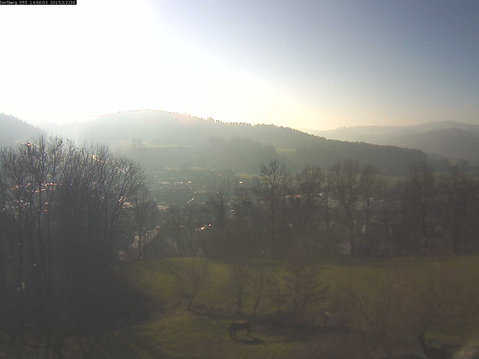 Webcam-Bild: Aussicht vom Dorfberg in Langnau 20151230-140601